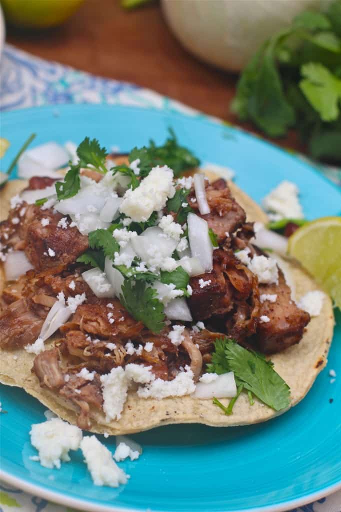 Mexican Street Tacos- Carnitas! - The Seaside Baker