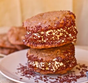 Double Chocolate Chip Coffee Ice Cream Sandwiches- YUM