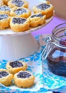 Mini Blueberry Coconut Tarts with Blueberry Curd 