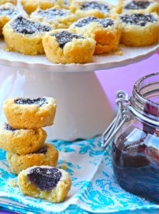 Mini Blueberry Coconut Tarts with Blueberry Curd Filling 