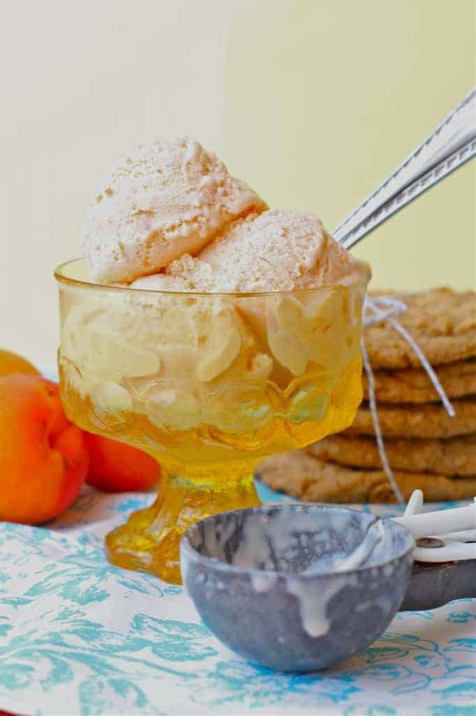 Apricot Biscoff Ice Cream