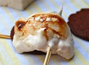 The Perfect S'more