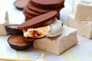 Gooey  and Delicious Peanut Butter S'mores