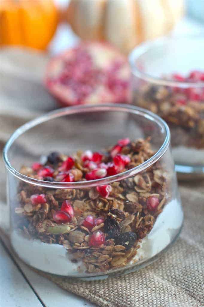 Pumpkin Spice Granola with Dried Cranberries and Pecans 