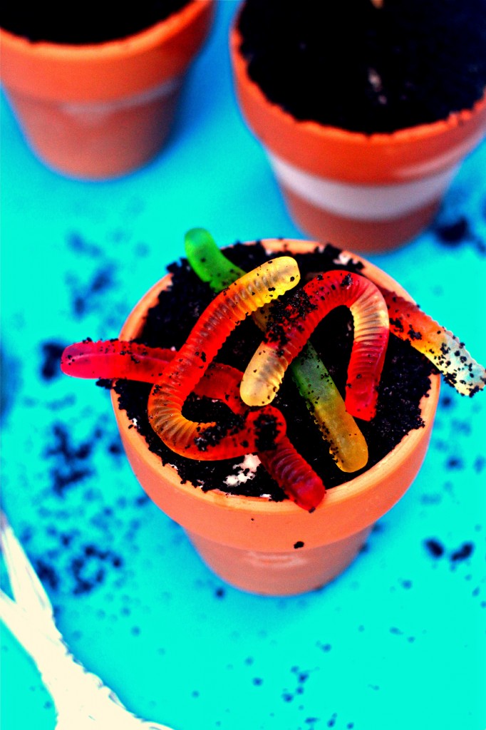  Ice Cream Flower Pots With Worms