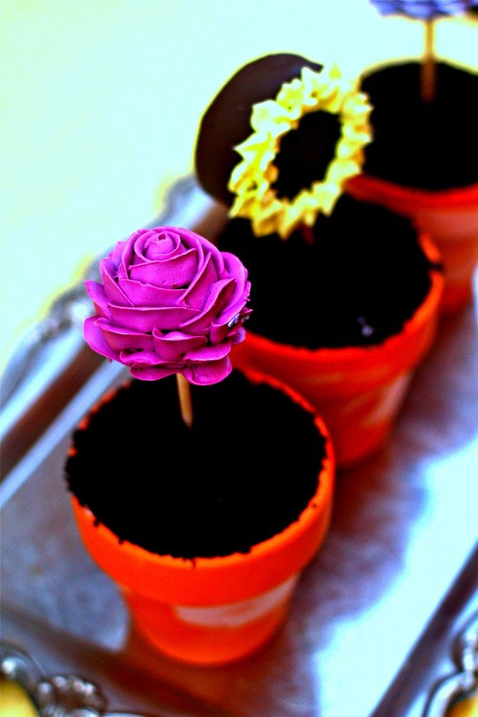 Oreo Ice Cream Flower Pots