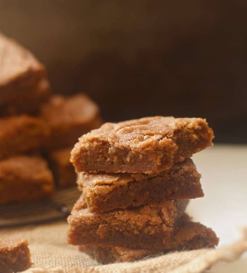 Snickerdoodle Blondies