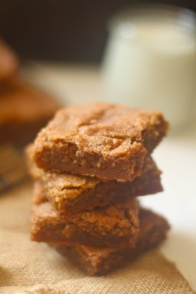 Homemade Snickerdoodle Blondies