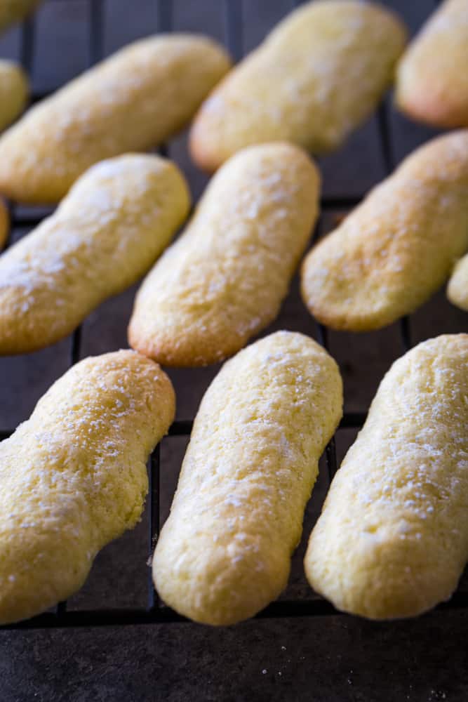 tray of homemade ladyfingers