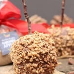 Up close photo of the caramel apple covered in nuts with a branch stick.