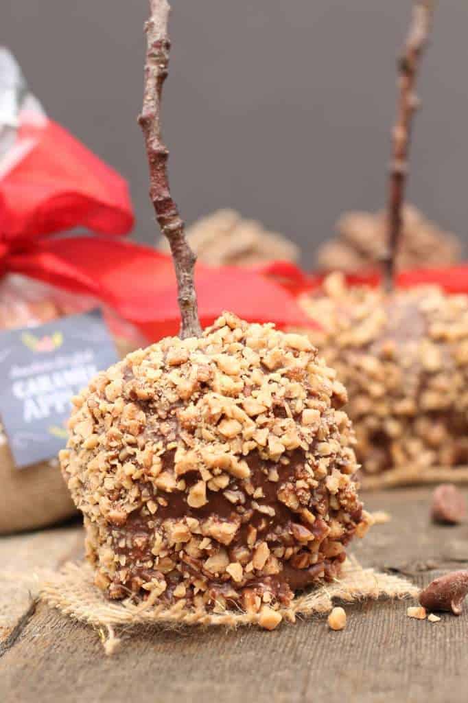 Up close photo of the caramel apple covered in nuts with a branch stick. 