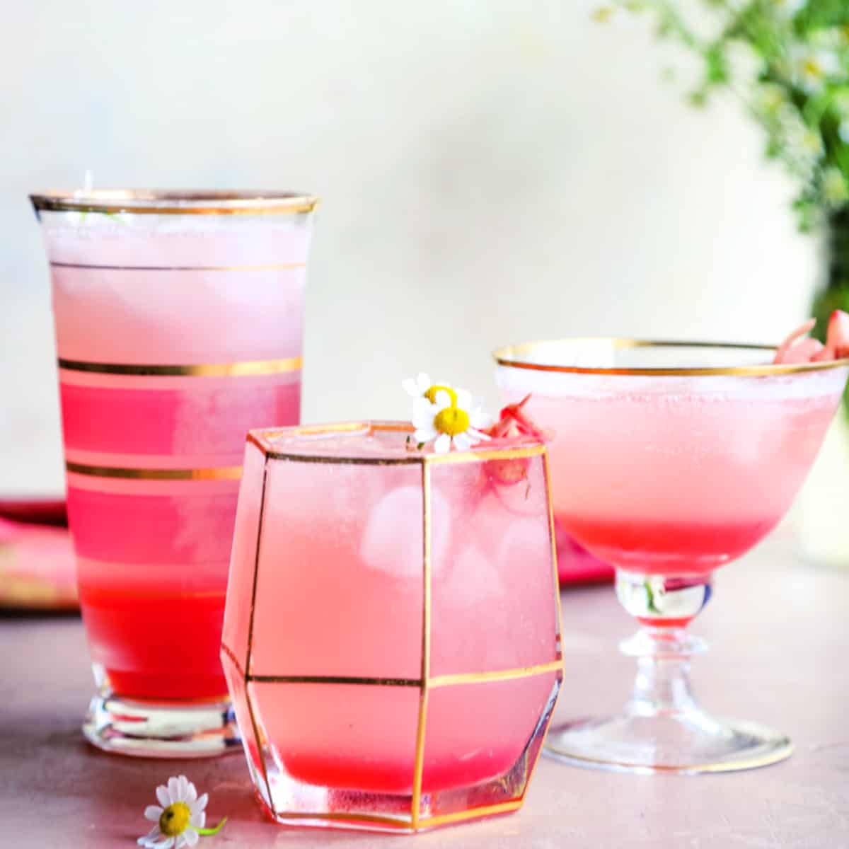 Homemade Rhubarb Ginger Gin CocktailPerfect Summer Drink The Seaside Baker