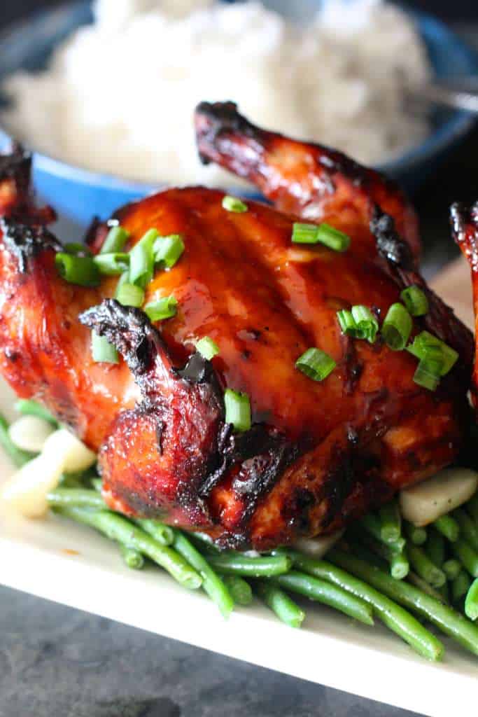 Grilled Cornish Hens with Teryiaki Sauce