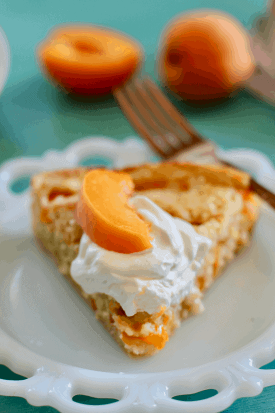 Italian Apricot Cake Recipe with fresh Apricots - Recipes from Italy