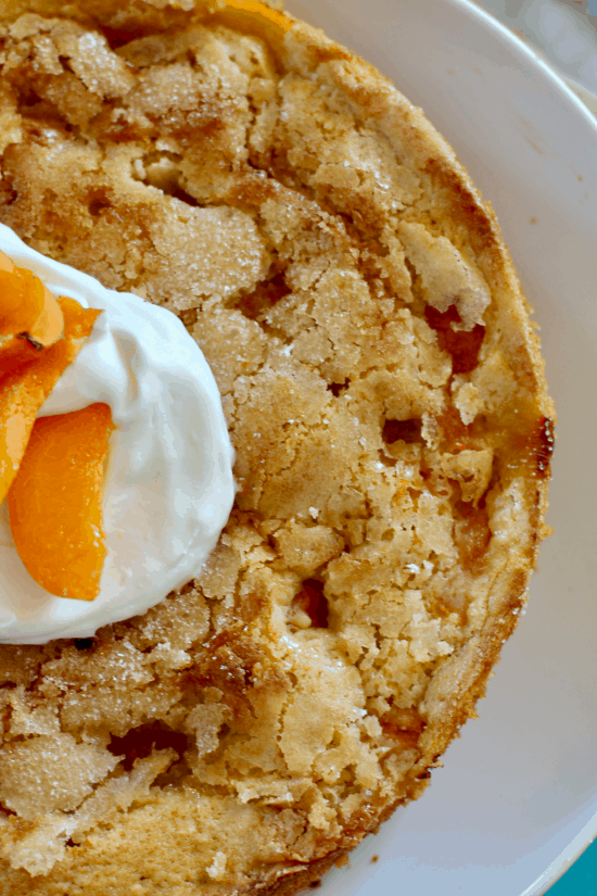 Custard like cake with summer's finest fresh roasted apricots and caramelized sugar topping