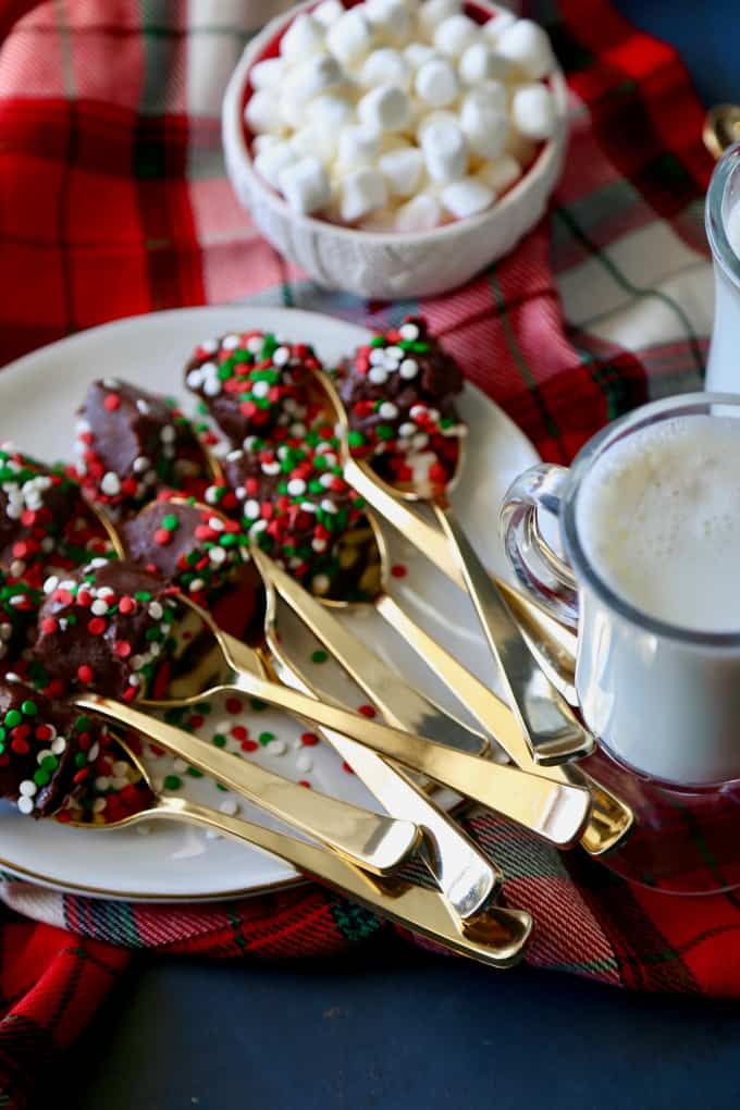Hot Chocolate Spoons