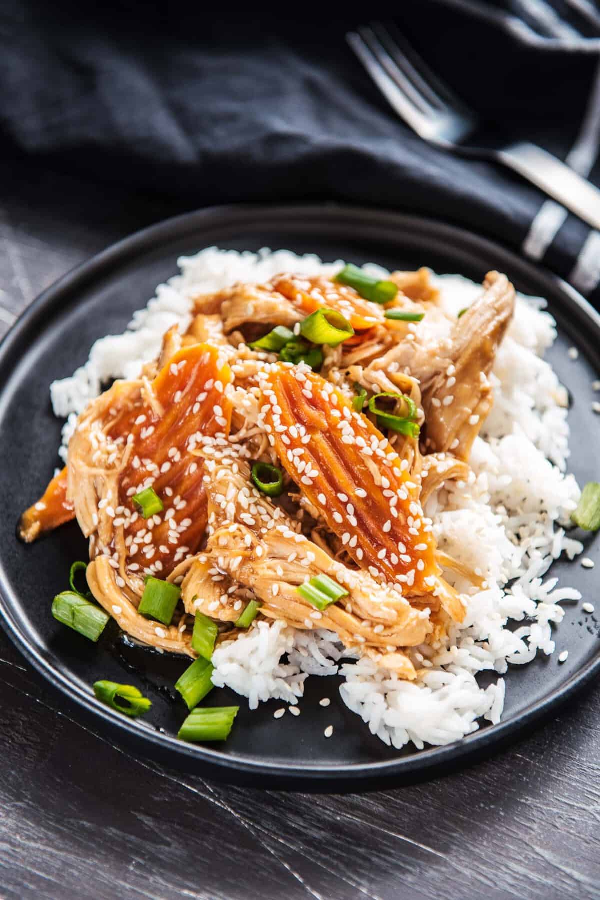 Instant Pot Teriyaki Chicken and Rice