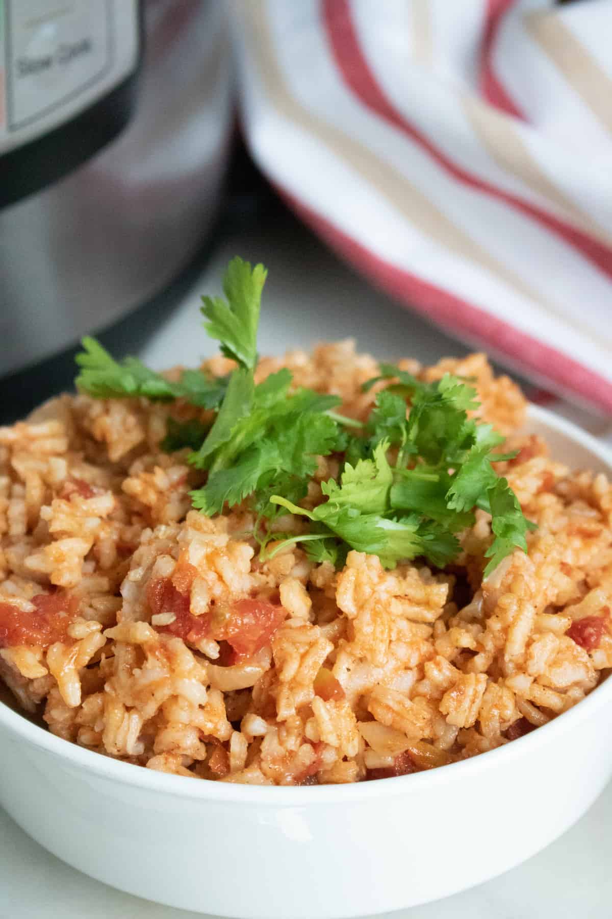 Instant Pot Spanish Rice The Seaside Baker