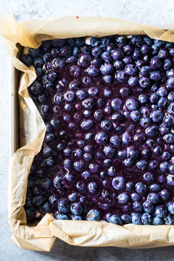 Overhead shot of the bars still in the pan and not yet cut with the top layer being the fresh blueberries. 