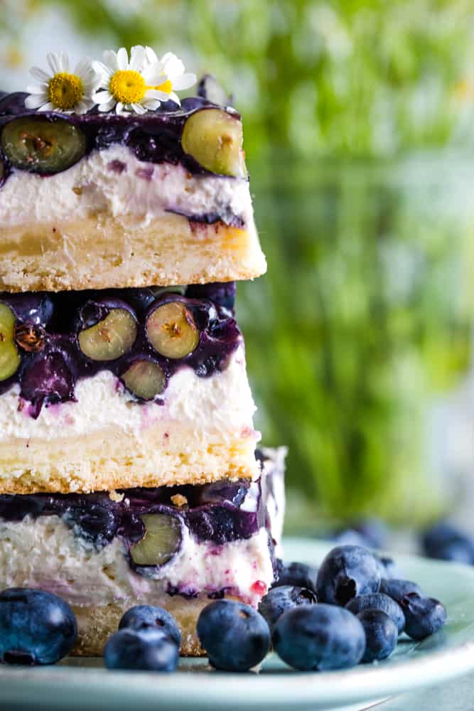 Up close shot showing the layers and the green insides of the blueberries on the bars. 