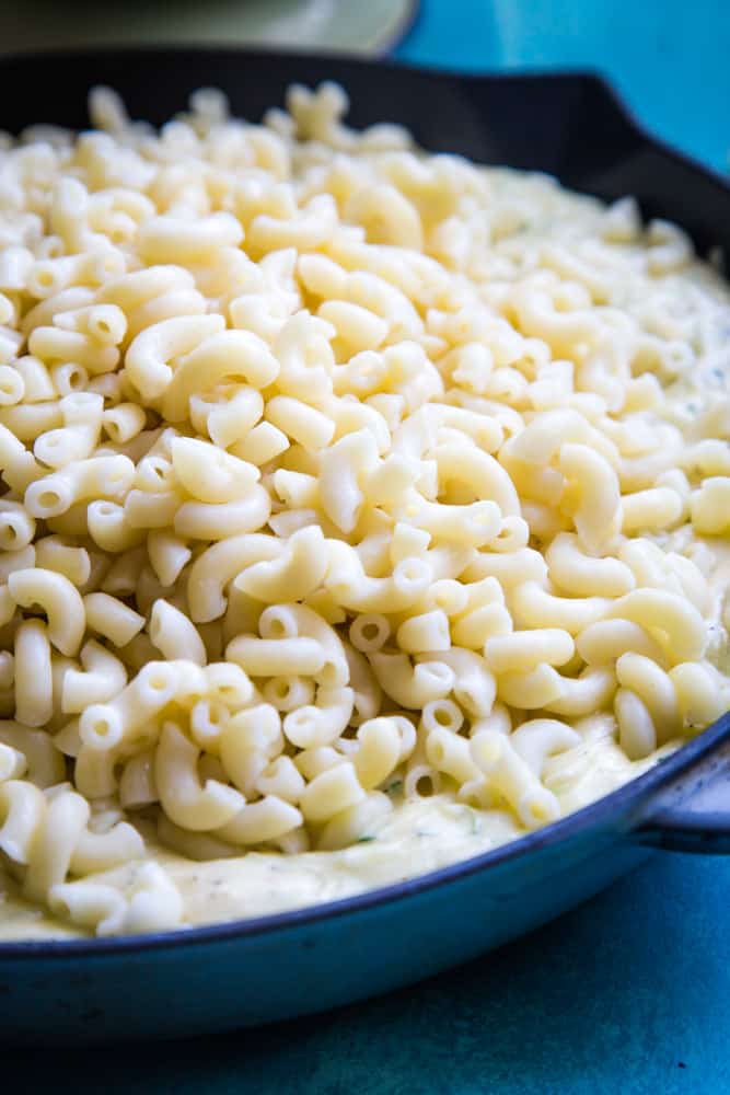 pasta in zucchini pasta