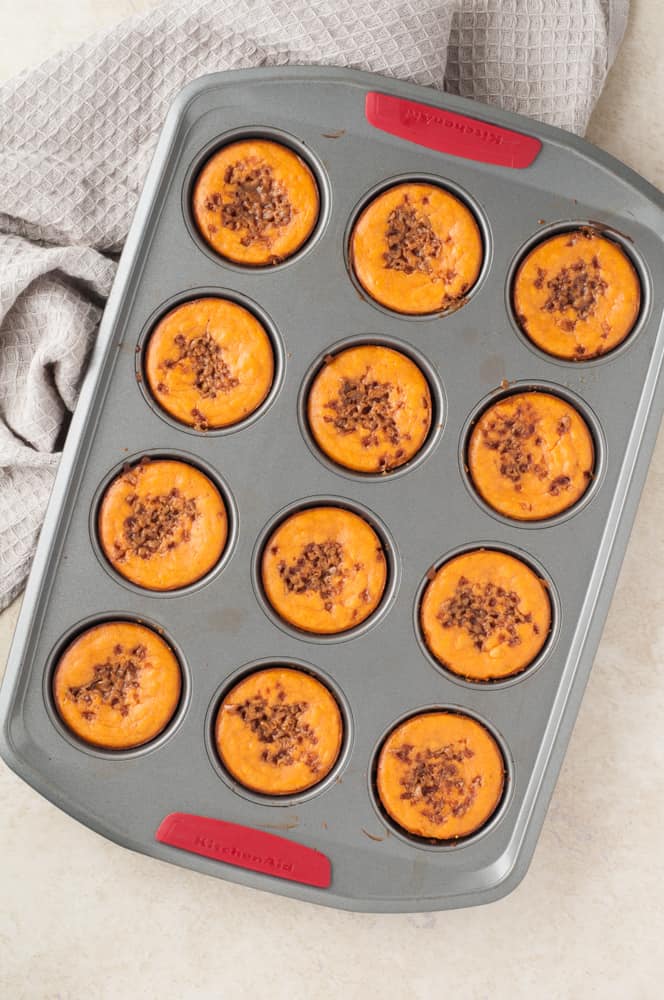 mini pumpkin cheesecakes in muffin pan
