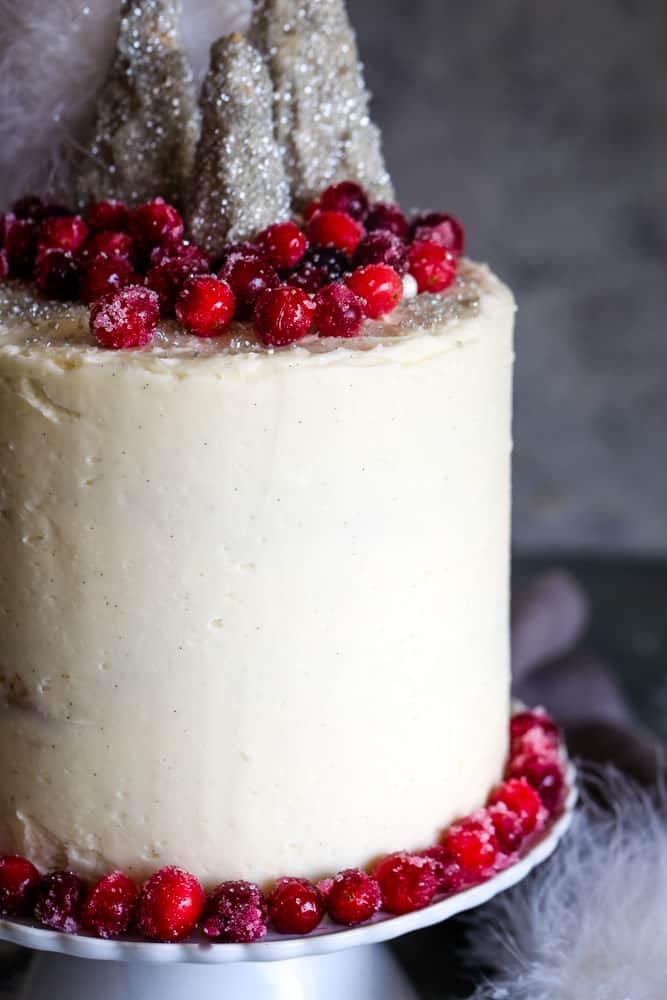 side view of the cranberry christmas cake