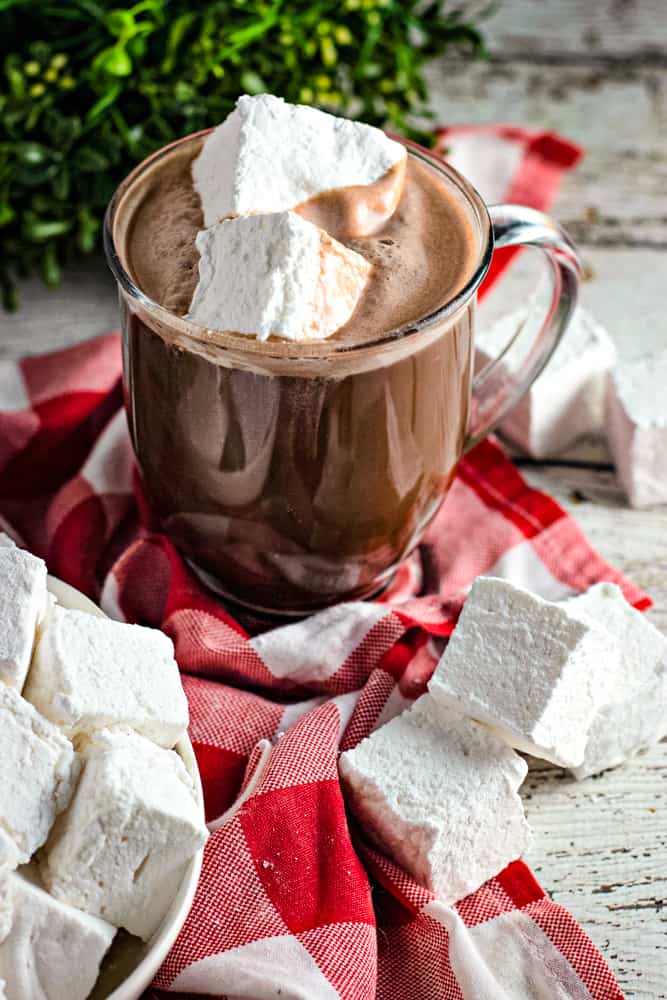 homemade vanilla marshmallows in cup of hot chocolate