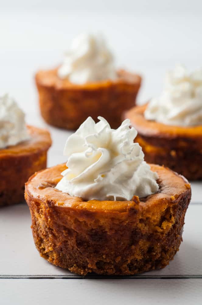 mini pumpkin cheesecakes with whipped cream on top