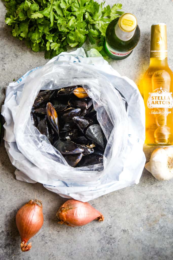 bag of raw mussels, cilantro, beer, and shallots on metal background