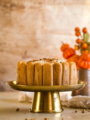 pumpkin tiramisu on gold cake plate