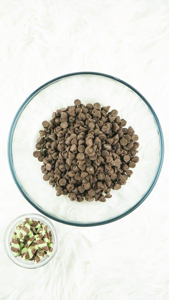 bowl of chocolate chips