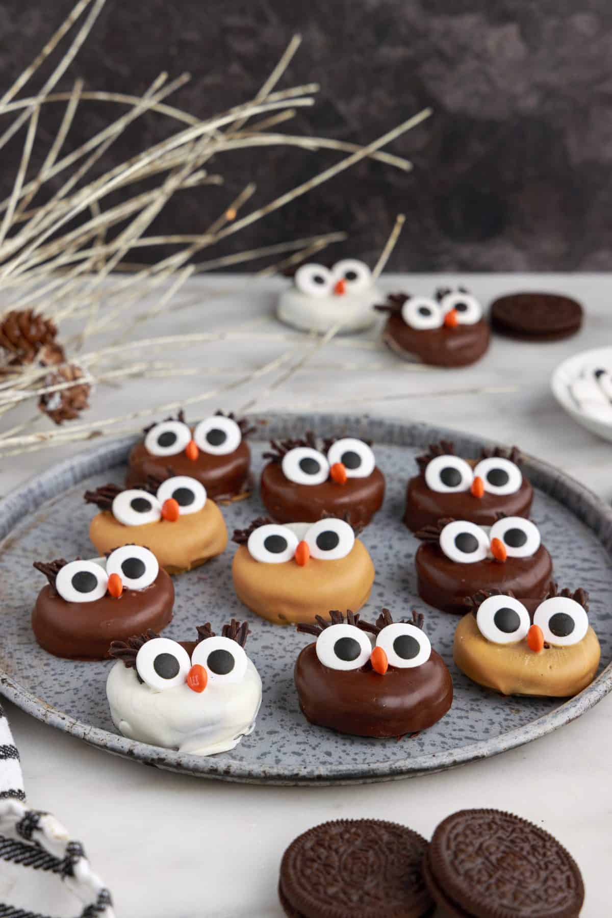 a metal round tray of chocolate and peanut butter owl cookies with black background and white branches in the background
