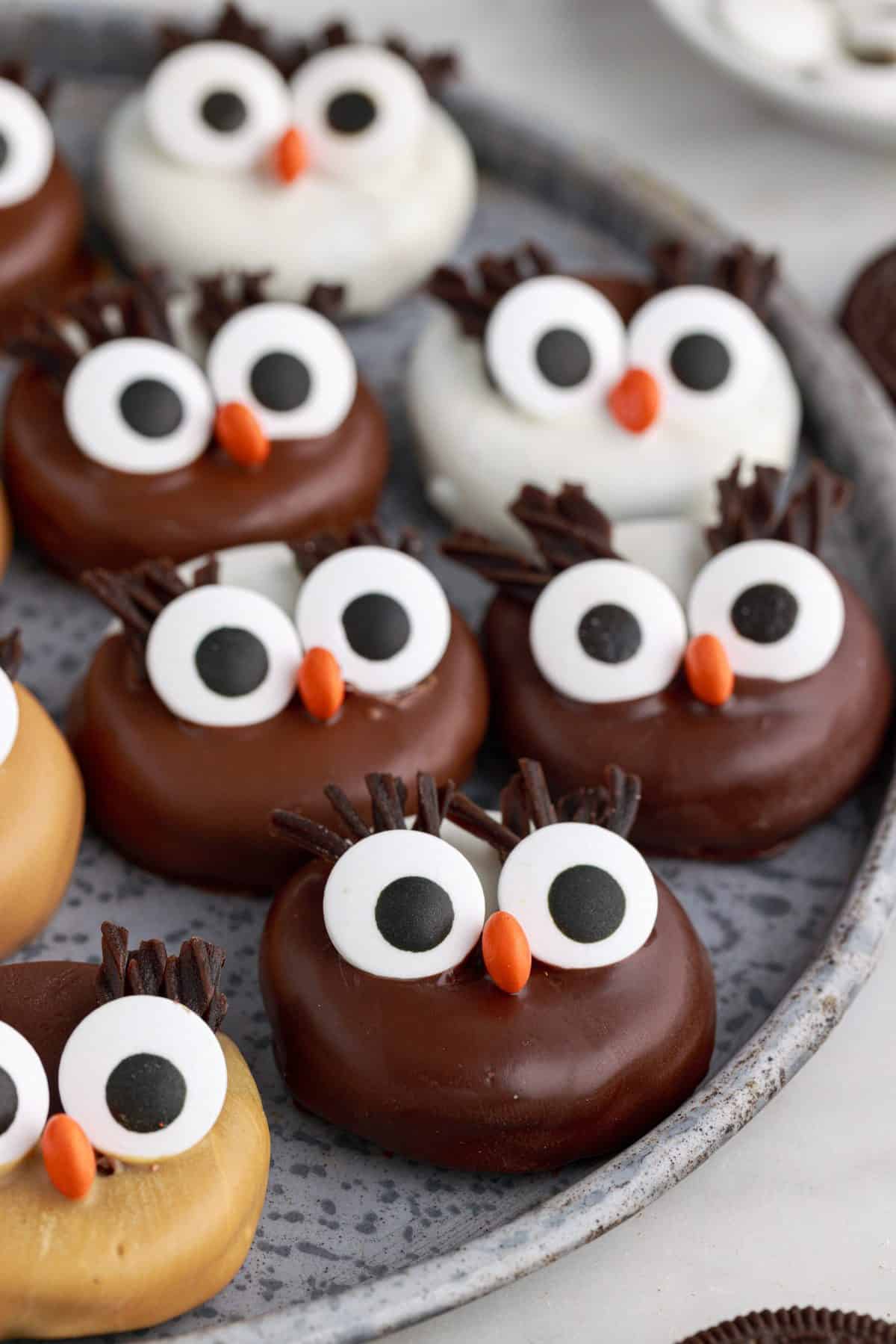 close up shot of Oreo dipped cookies made to look like owls on round metal plate