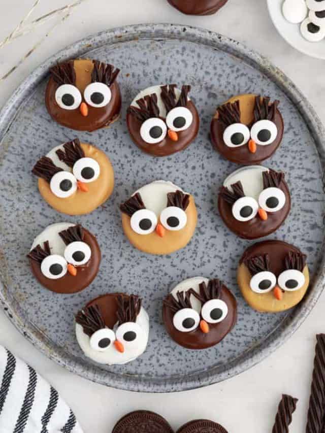 Chocolate and Peanut Butter Owl Cookies Story
