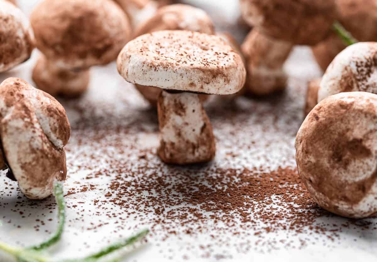 up close shot of meringue mushroom with cocoa powder