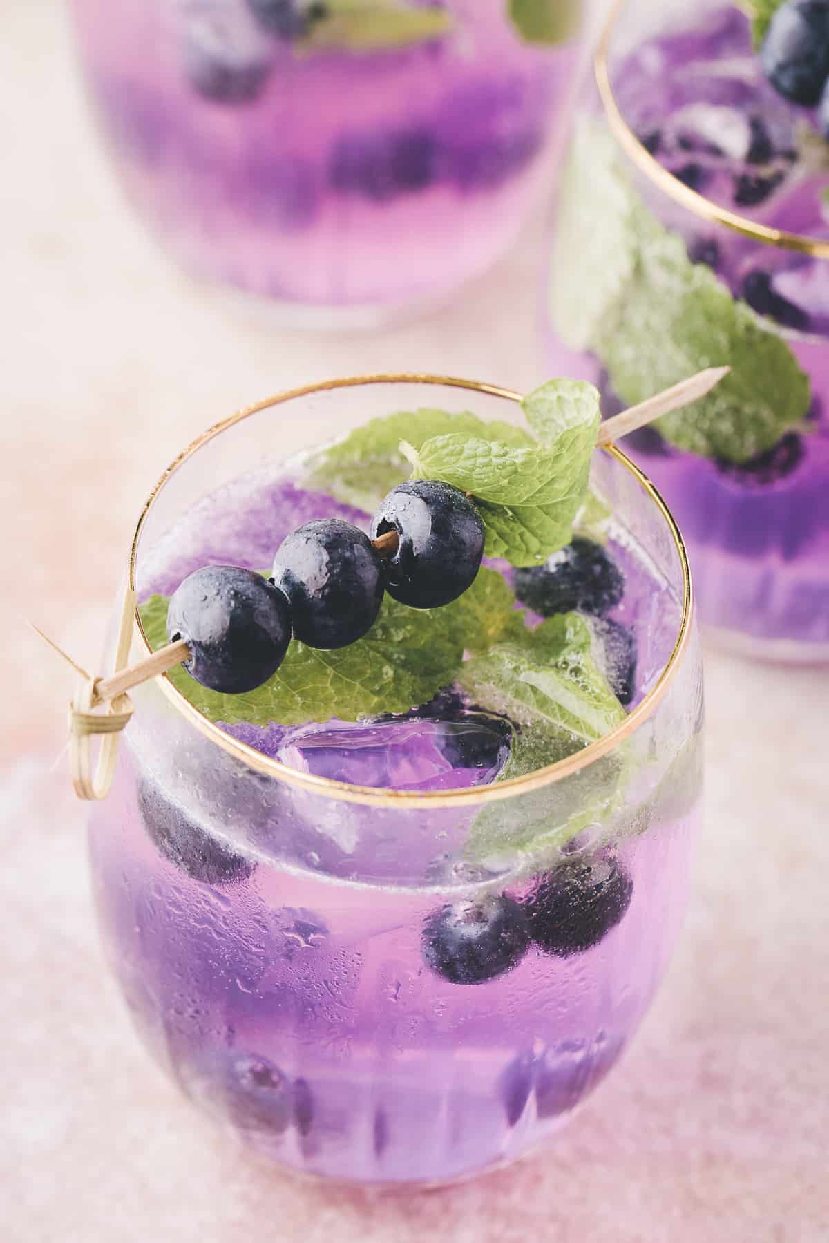 empress purple gin cocktail with blueberry skewer on top.