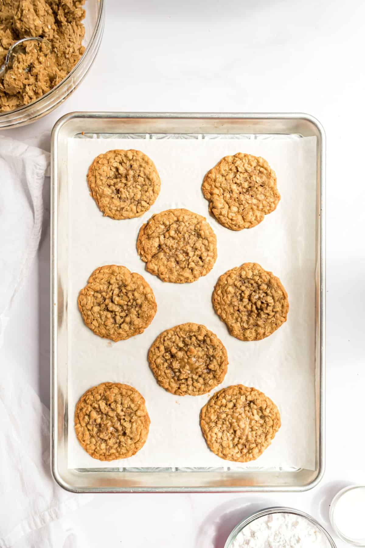 Baked oatmeal cookies on a parchment lined cookie sheet on a white background. 