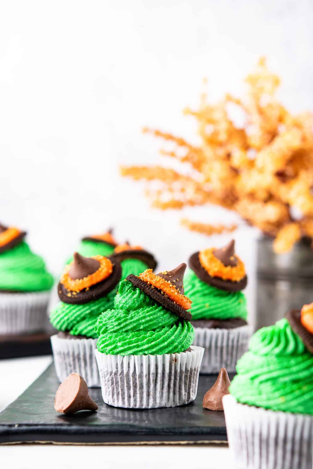 Witch hat cupcakes on black square dish with brown foliage in background. 