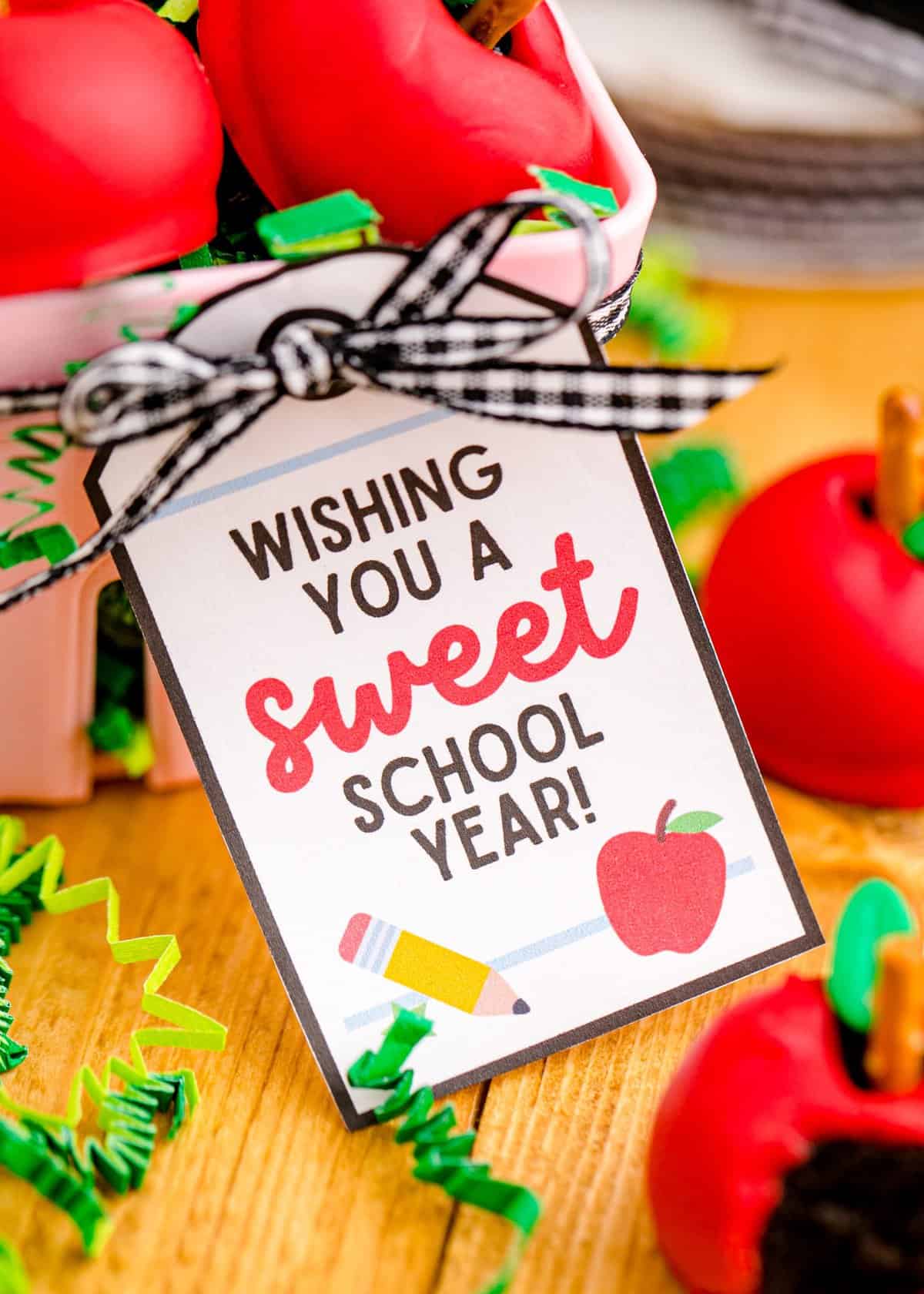 A tag that says "wishing you a sweet school year" tied with a black and white bow. 