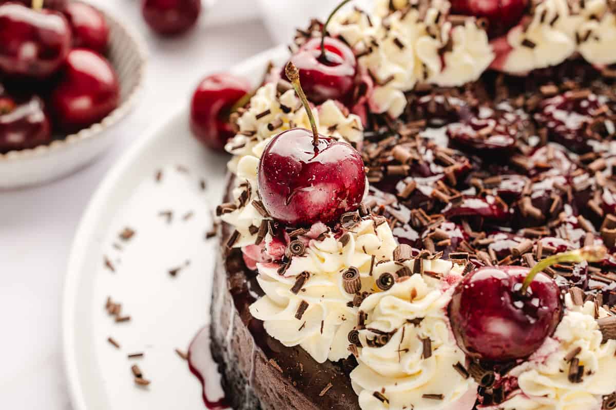 Shot of chocolate cheesecake with whipped cream swirls, chocolate, and fresh cherries. 